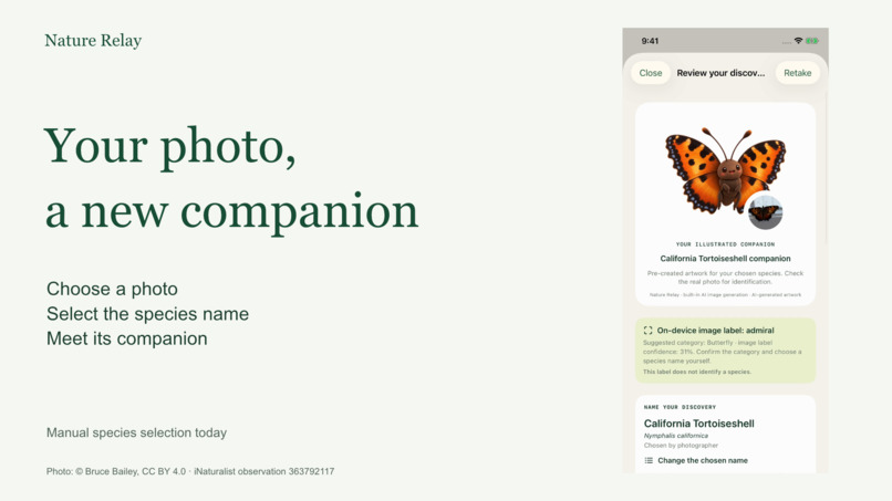 Nature Relay – screenshot 2