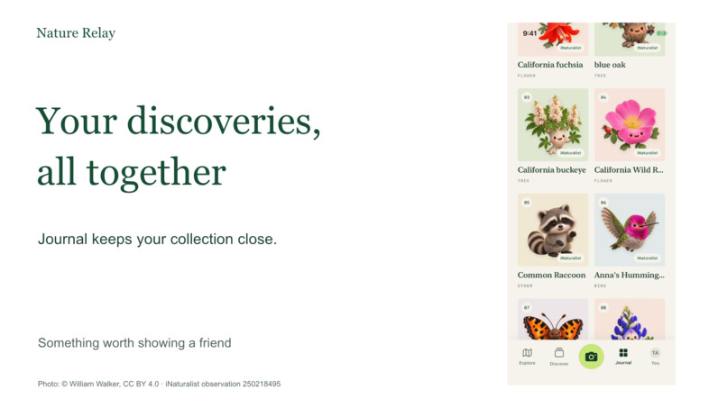 Nature Relay – screenshot 3