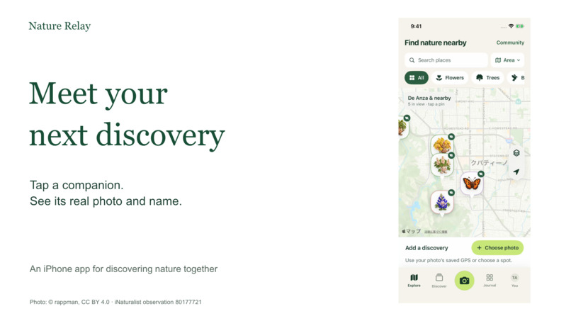 Nature Relay – screenshot 4