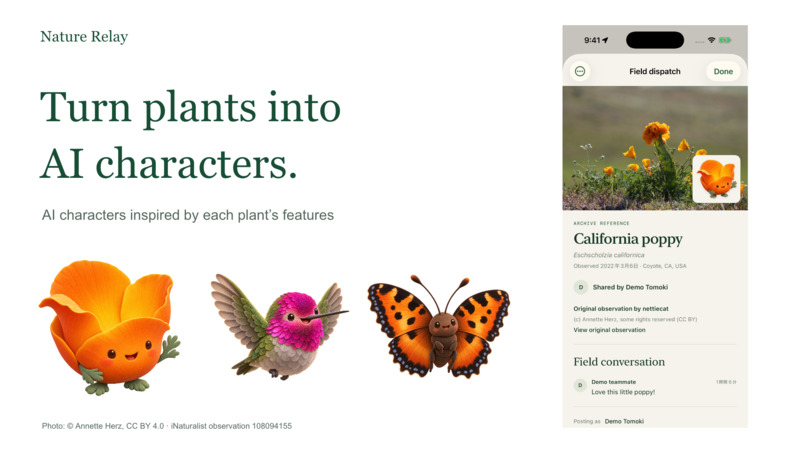 Nature Relay – screenshot 6