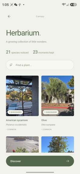 Canopy – screenshot 2