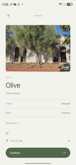Canopy – screenshot 3