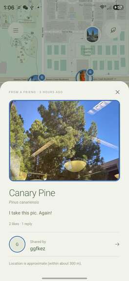 Canopy – screenshot 7