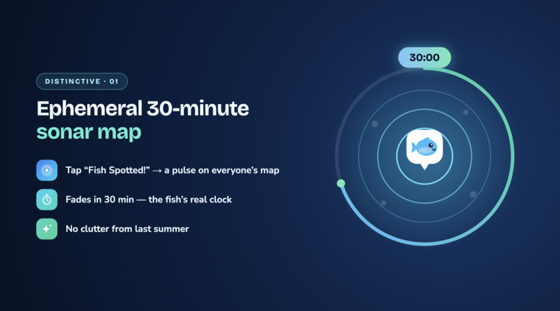 Fish Pulse – screenshot 4