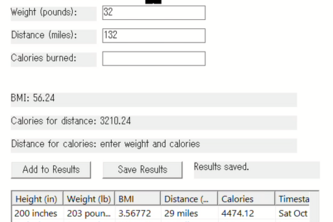 Walking calculator 