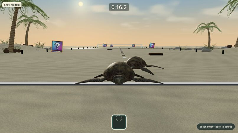 Baby Turtle Simulator 2 – screenshot 1