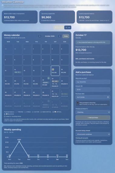 Financial Forecast – screenshot 1