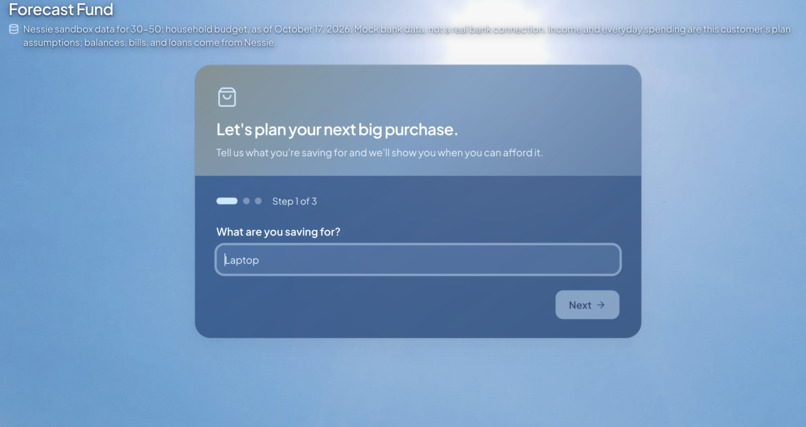 Financial Forecast – screenshot 3