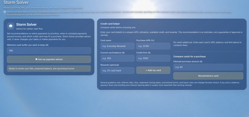 Financial Forecast – screenshot 4