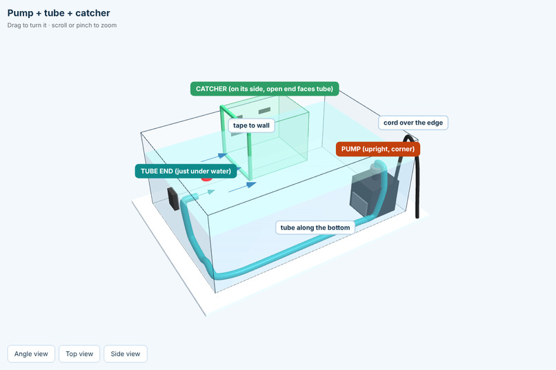 Nemo – screenshot 2