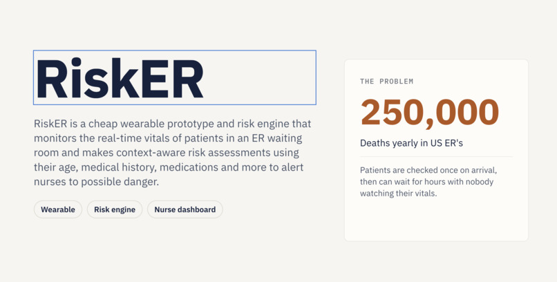 RiskER – screenshot 1