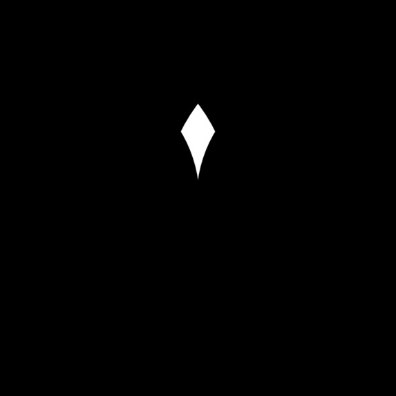 SharedInference – screenshot 1