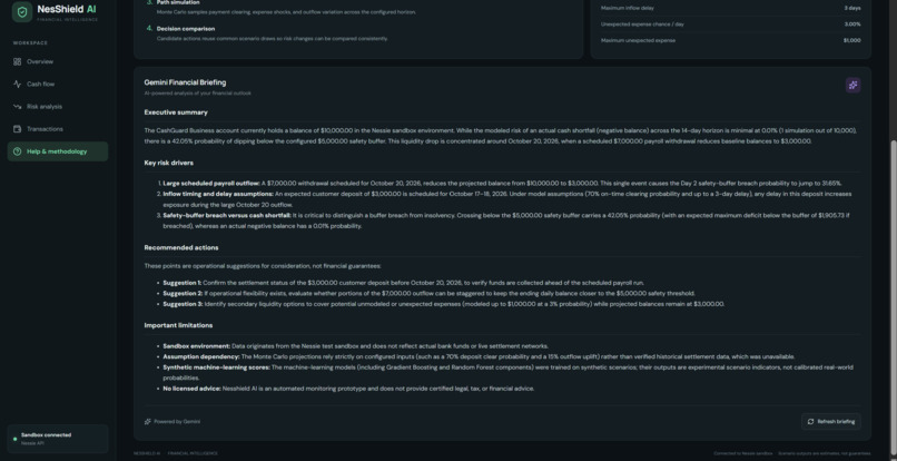 NesShield AI – screenshot 1