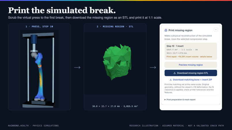 Rainbone – screenshot 6