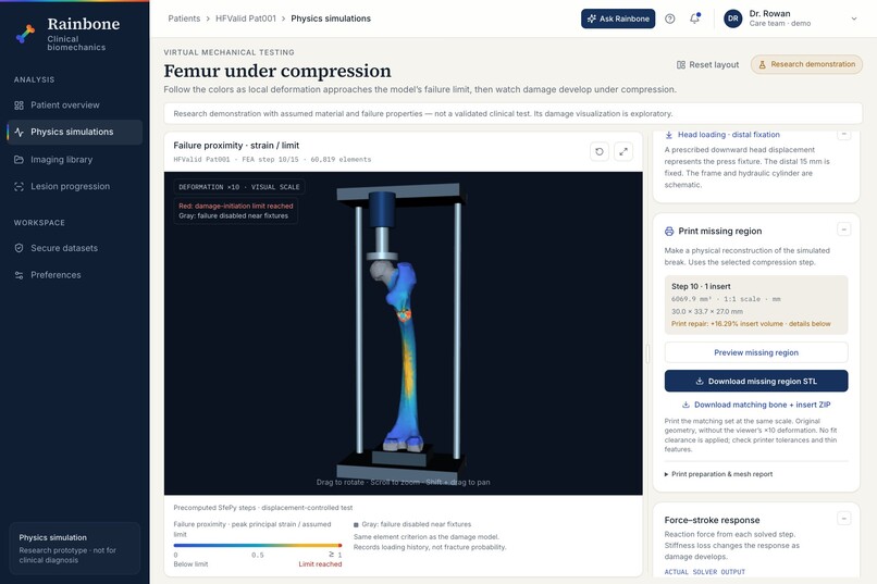 Rainbone – screenshot 4