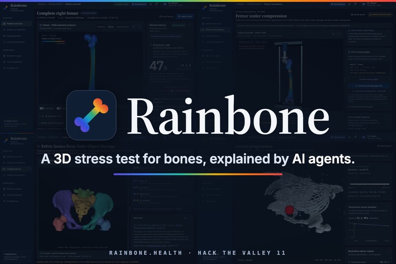 Rainbone – screenshot 1