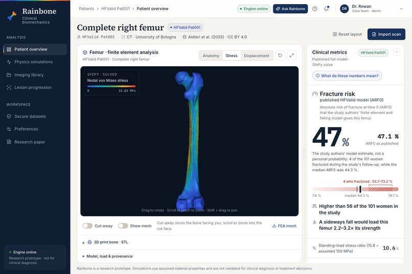 Rainbone – screenshot 3