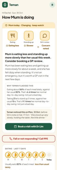 Teman – screenshot 3