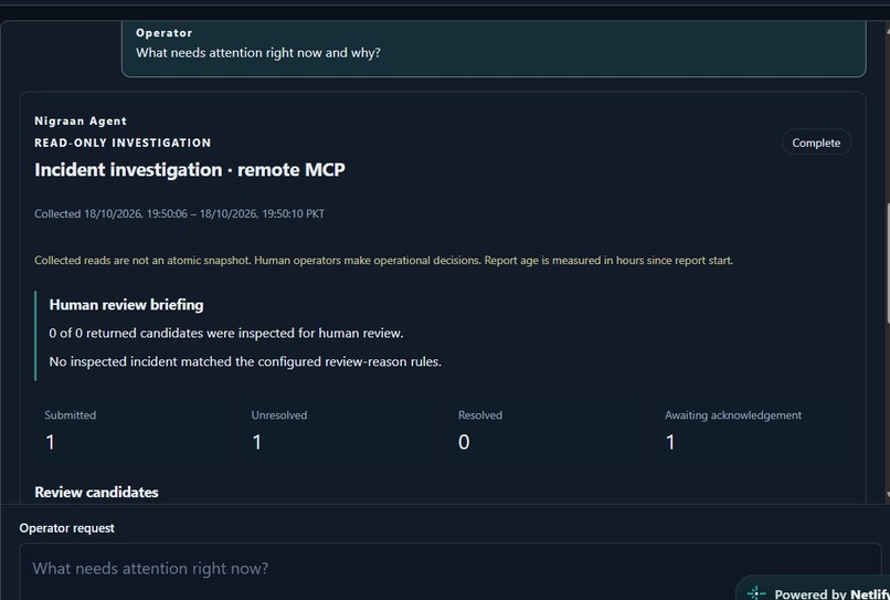 NigraanOs – screenshot 6