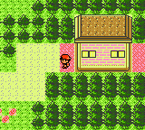 tensormew – screenshot 3