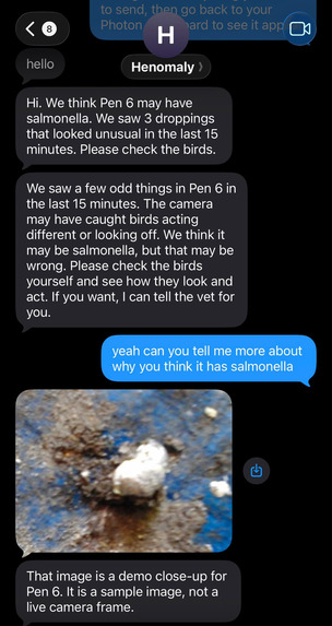 Henomaly – screenshot 4