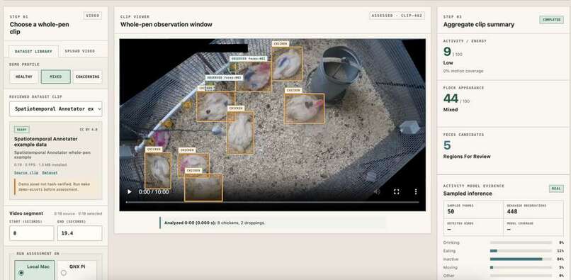 Henomaly – screenshot 2
