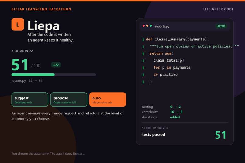 Liepa refactoring – screenshot 1
