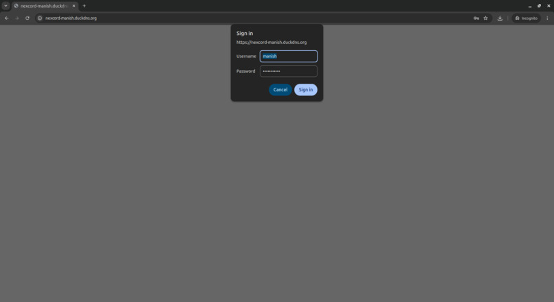 NexCord – screenshot 9
