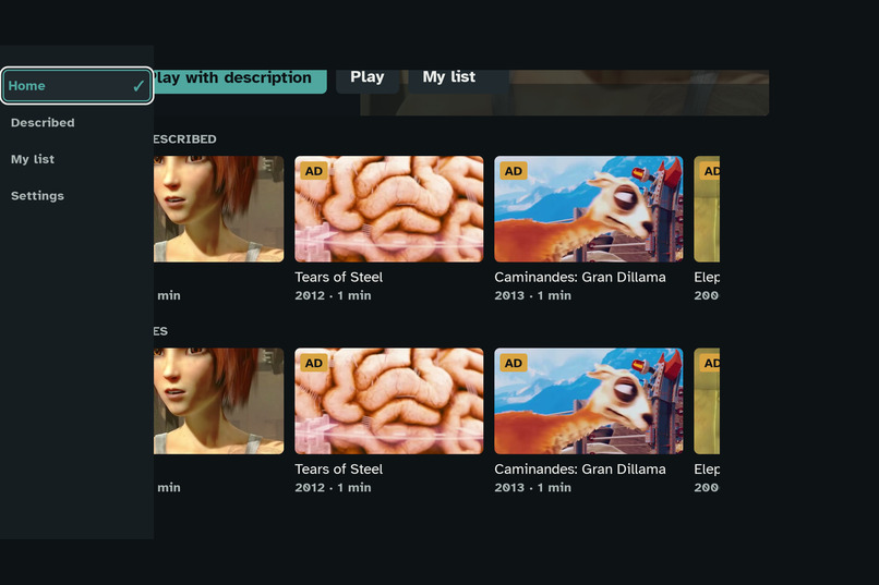 Described – screenshot 11