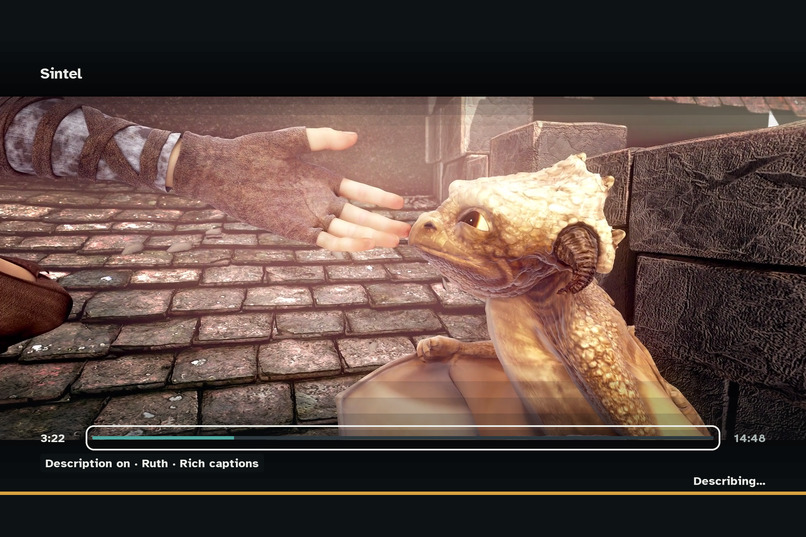 Described – screenshot 14