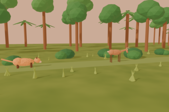 Jungle chase