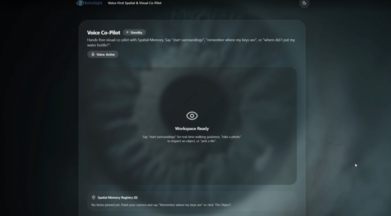 EchoSight – screenshot 2