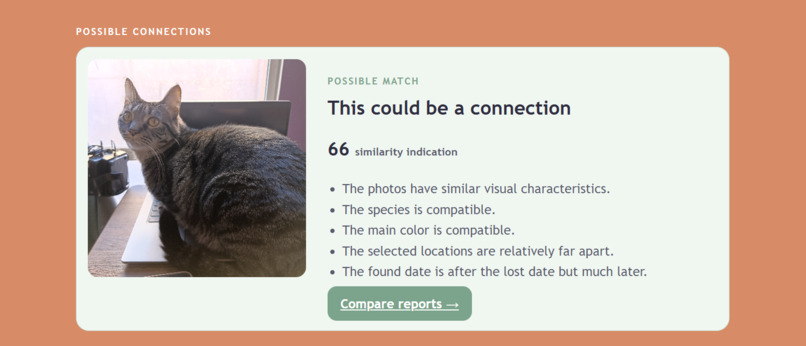 Pawtch – screenshot 6