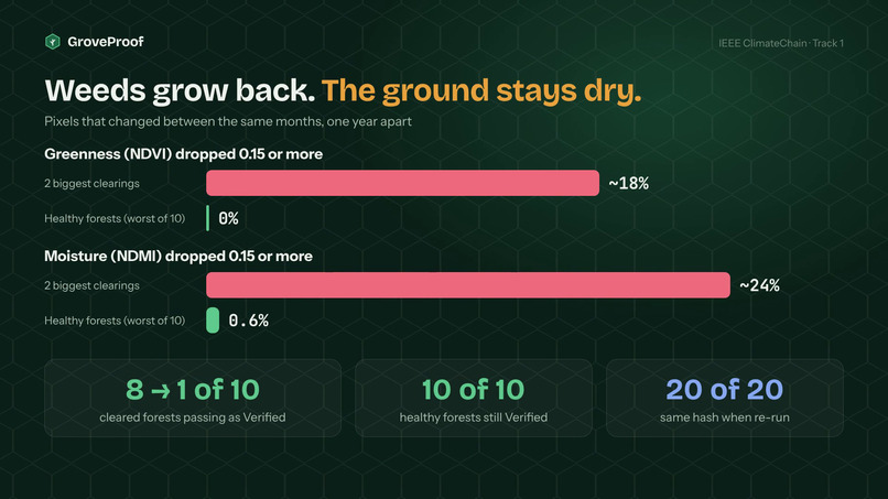 GroveProof – screenshot 12