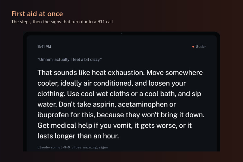 Sudor – screenshot 7