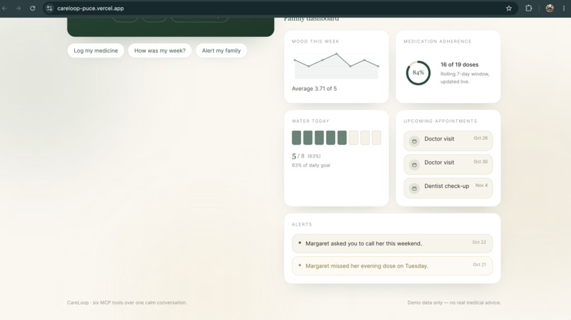 CareLoop: Voice Care Companion for Elders – screenshot 2