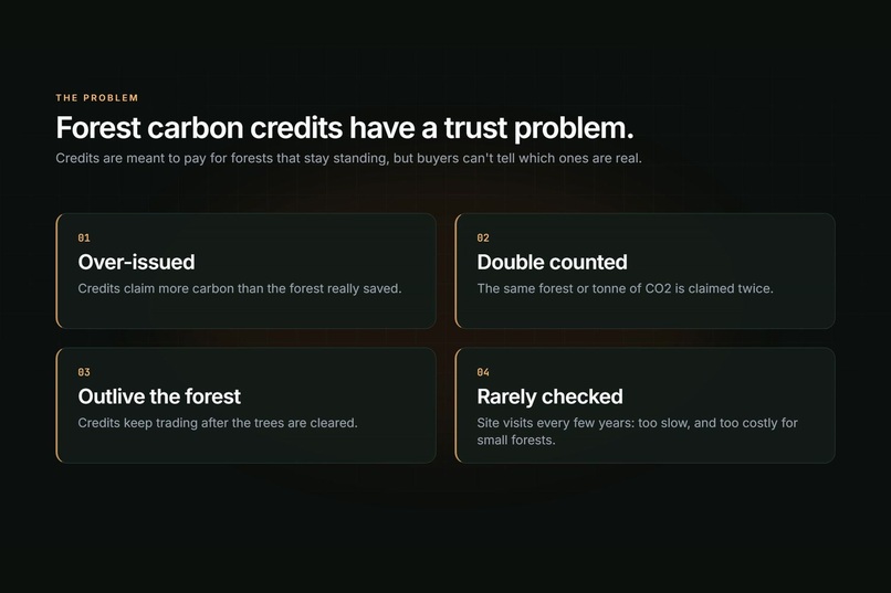 CanopyChain – screenshot 1