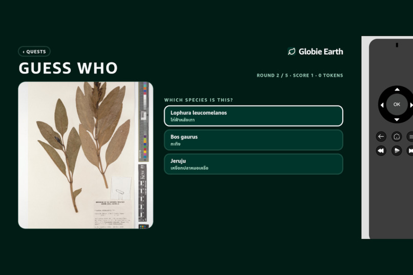 Globie Earth MCP for Alexa+ Skills and TV App  – screenshot 9