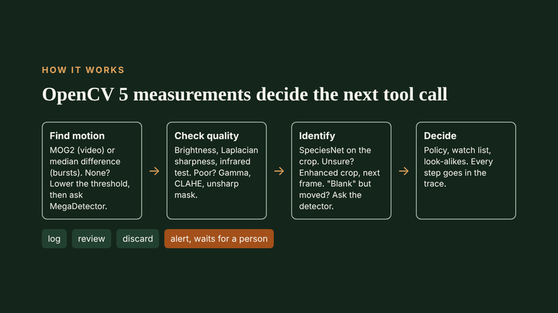 TrailWatch: an agent that triages camera-trap footage – screenshot 3
