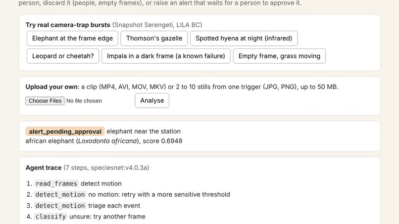 TrailWatch: an agent that triages camera-trap footage – screenshot 5