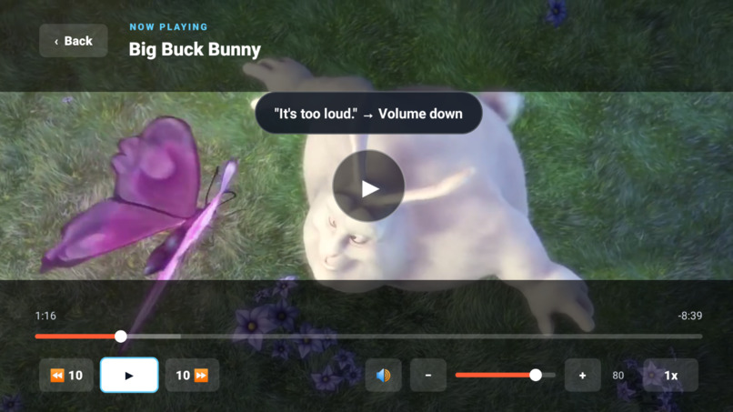 Voice Navigation TV – screenshot 7