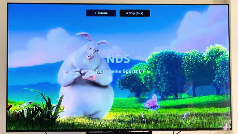 Nivora TV – screenshot 3
