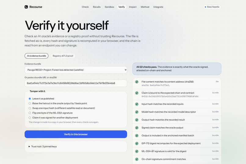 Recourse: carbon credits, with a recall – screenshot 7