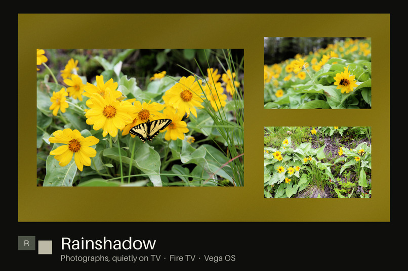 Rainshadow – screenshot 4