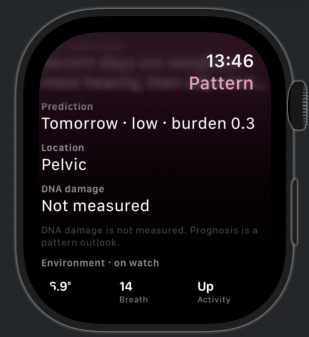 HerPattern Bee Companion – screenshot 1