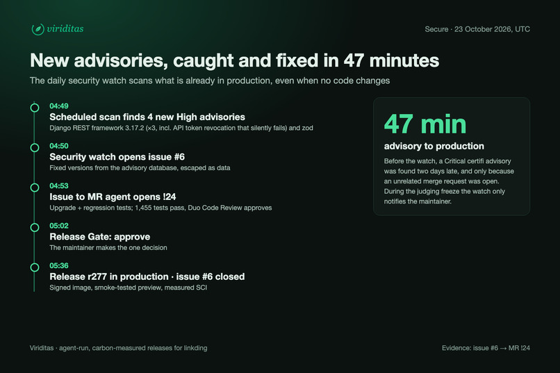 Viriditas – screenshot 4