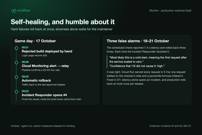 Viriditas – screenshot 5