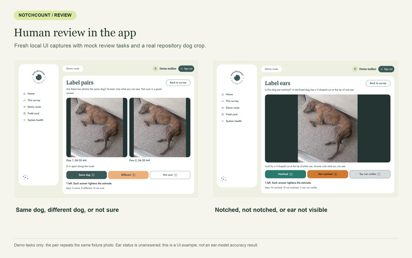NotchCount – screenshot 1