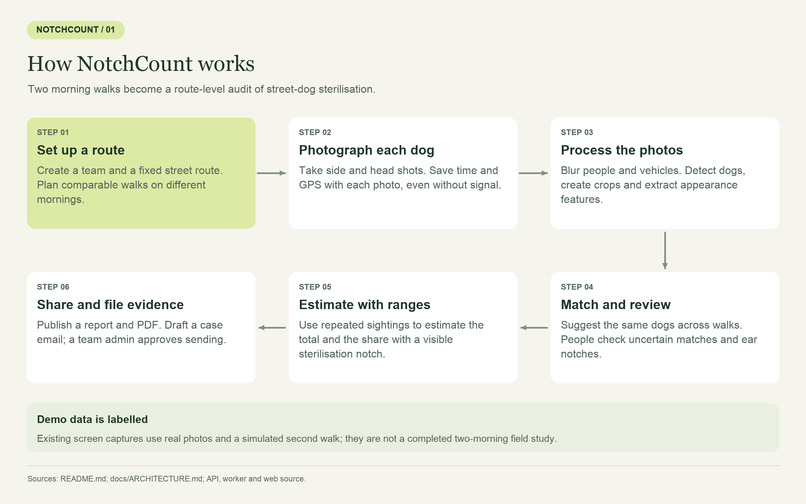 NotchCount – screenshot 3