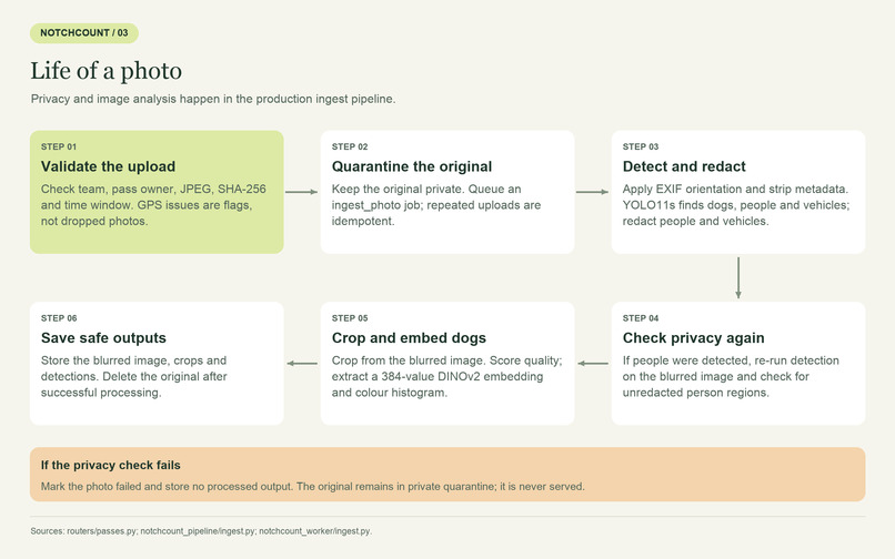 NotchCount – screenshot 4